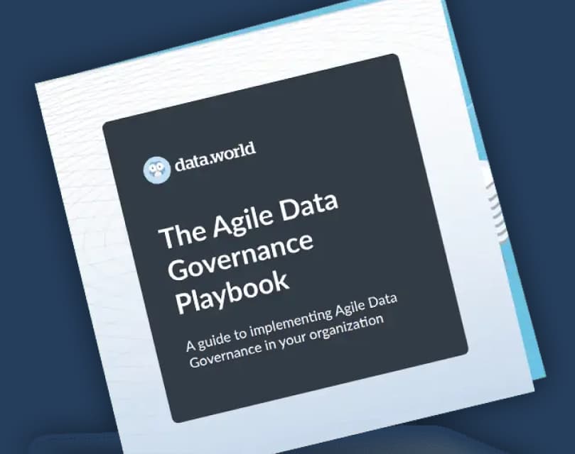 The Agile Data Governance Playbook