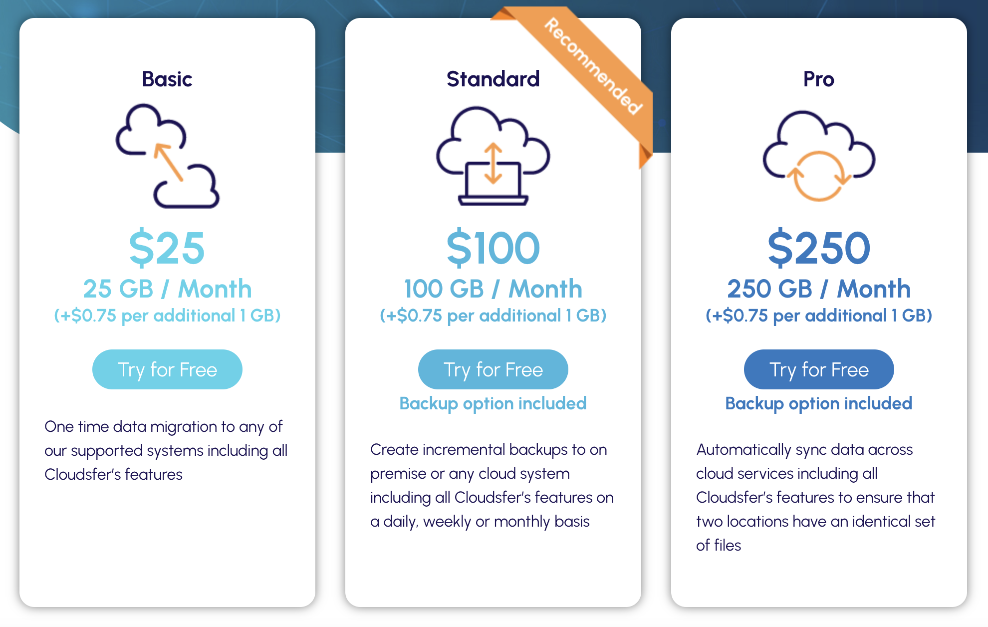 cloudsfer pricing options include basic for $25 per month, standard for $100 per month, and pro for $250 per month