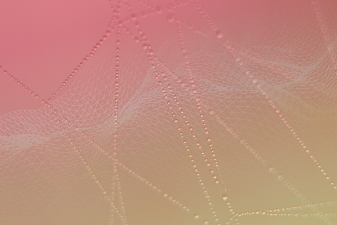 A data catalog powered by a knowledge graph, represented by an abstract image of a spiderweb covered in water droplets